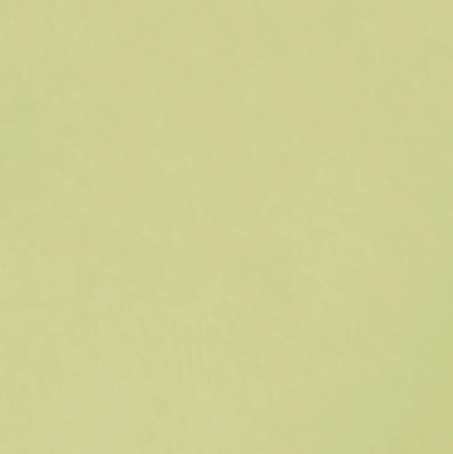 Conteco ONE 2,5 kg 44 Lime