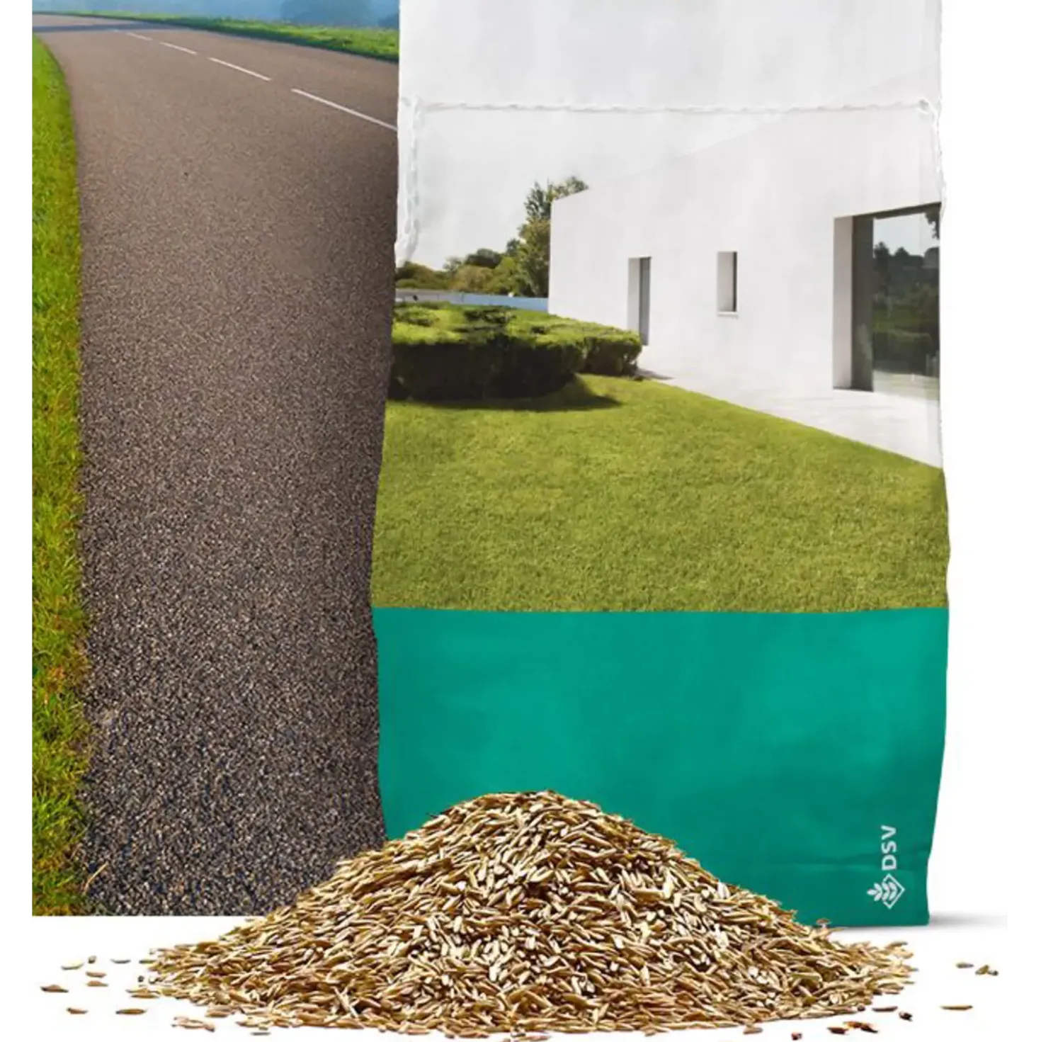 Dansk robust blanding græsfrø 1 kg.