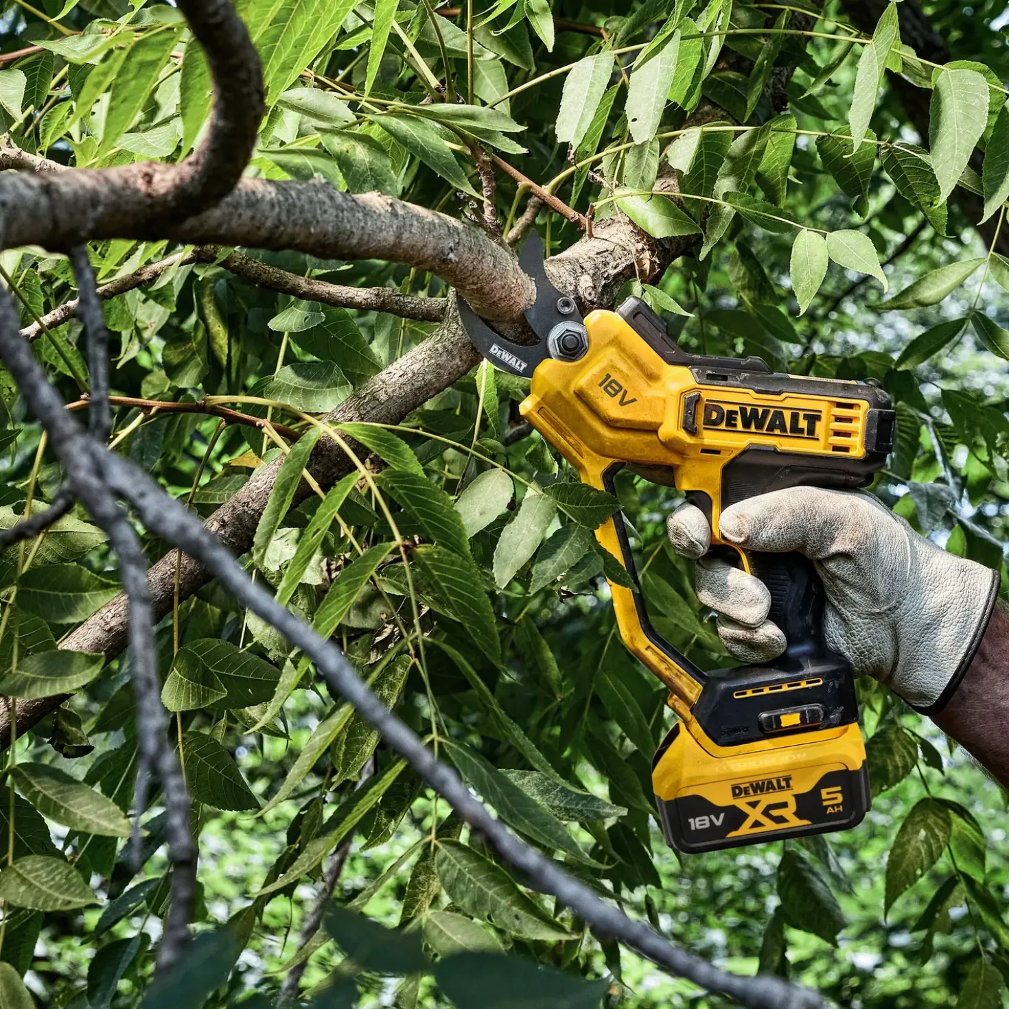 Dewalt DCMPP568N-XJ grensav 18V solo