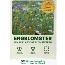 DM Greenkeeping engblomster blomsterfrø 5 g