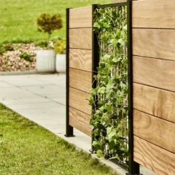 Elmholm espalier modul 95 cm