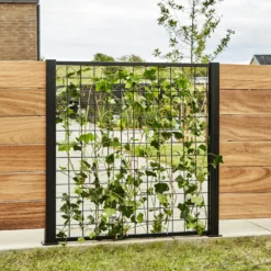 Elmholm espalier startsæt 95 cm