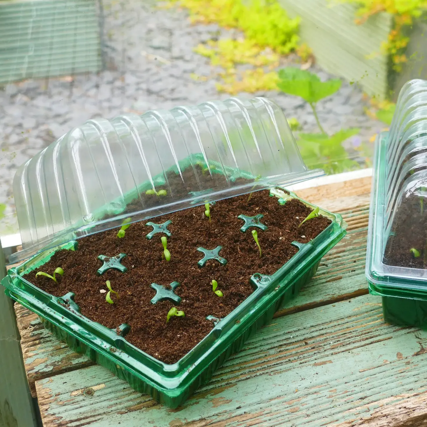 Grow It minidrivhus m/24 rum