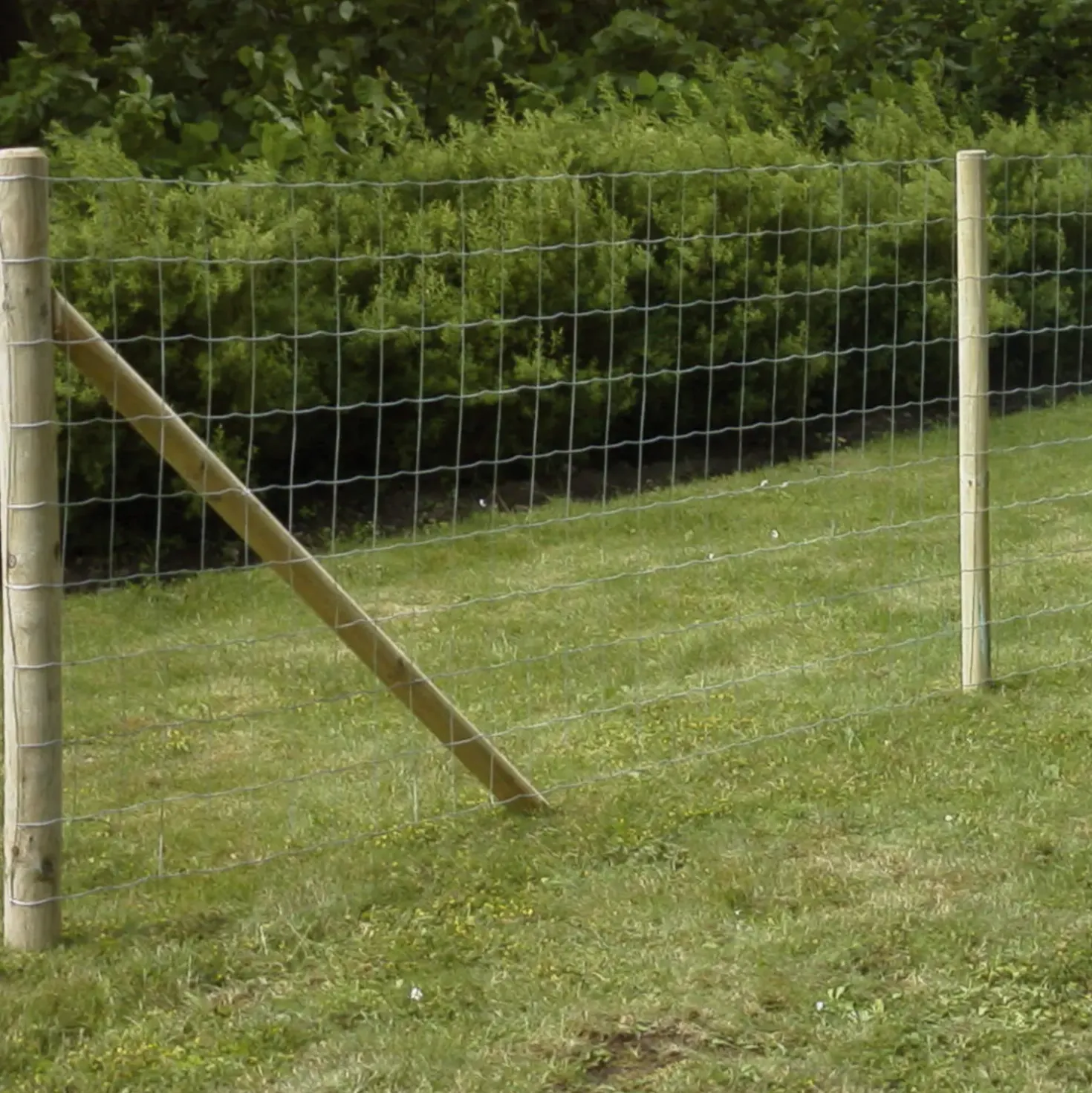 Hegnspæl Ø7x240 cm