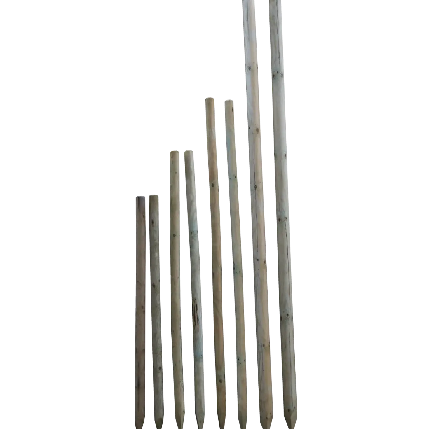 Hegnspæl Ø7x240 cm