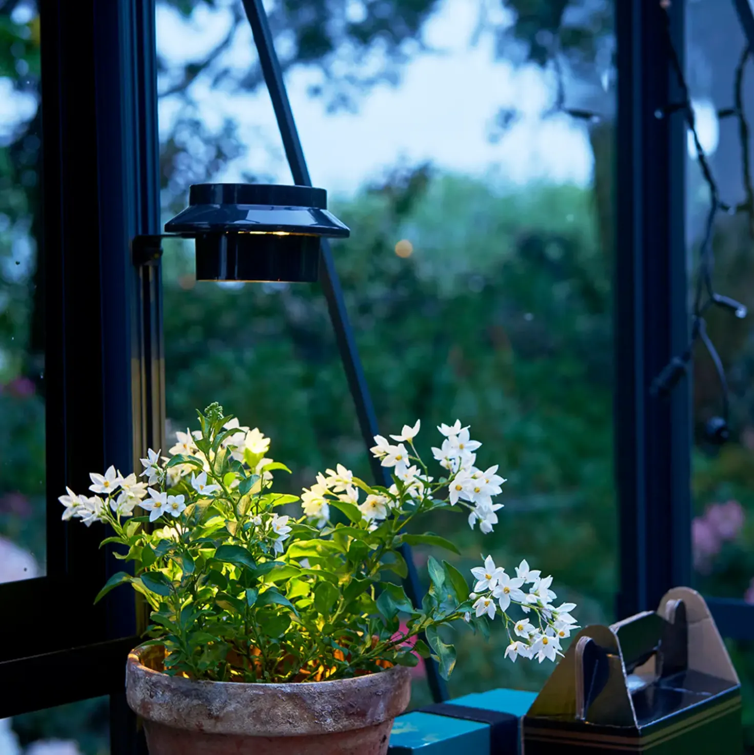 Juliana LED-lampe til drivhus