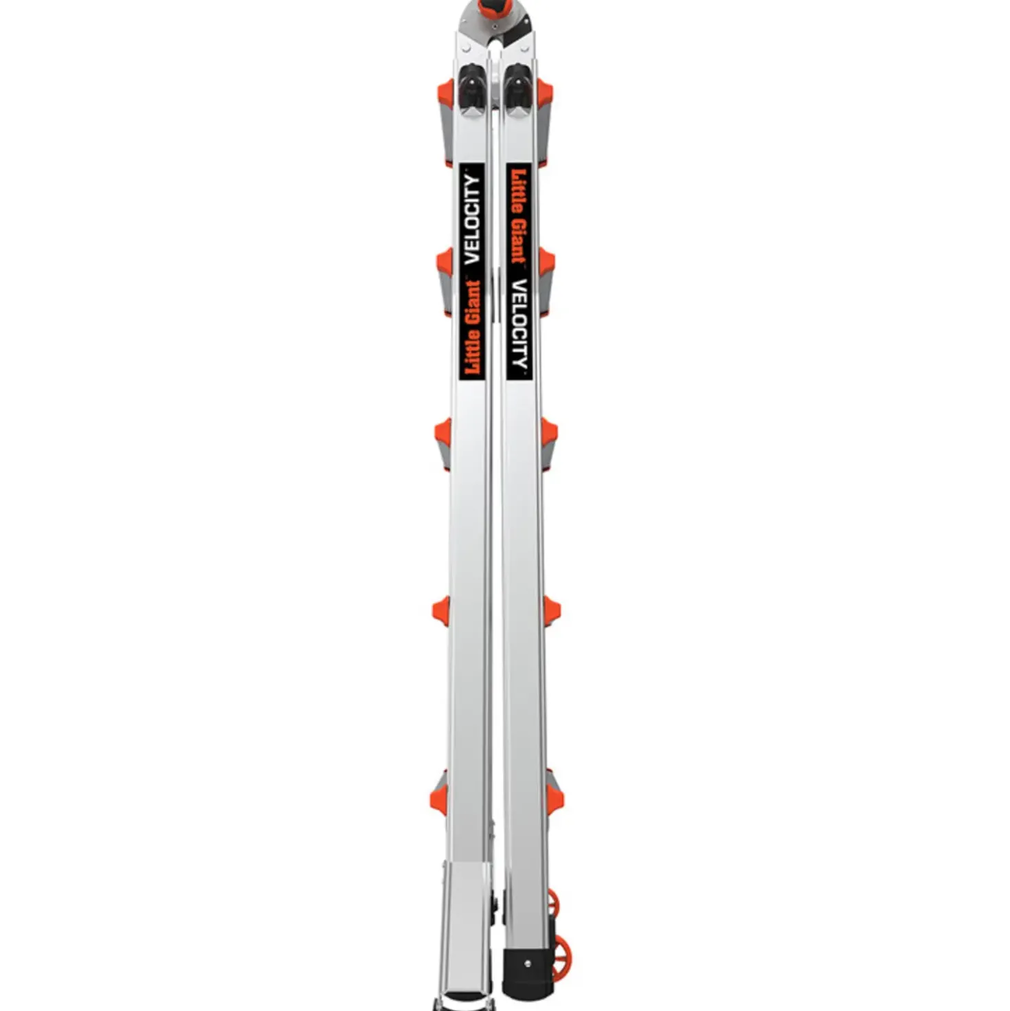 JUMBO Giant Classic multistige 69 cm 5/9-trin