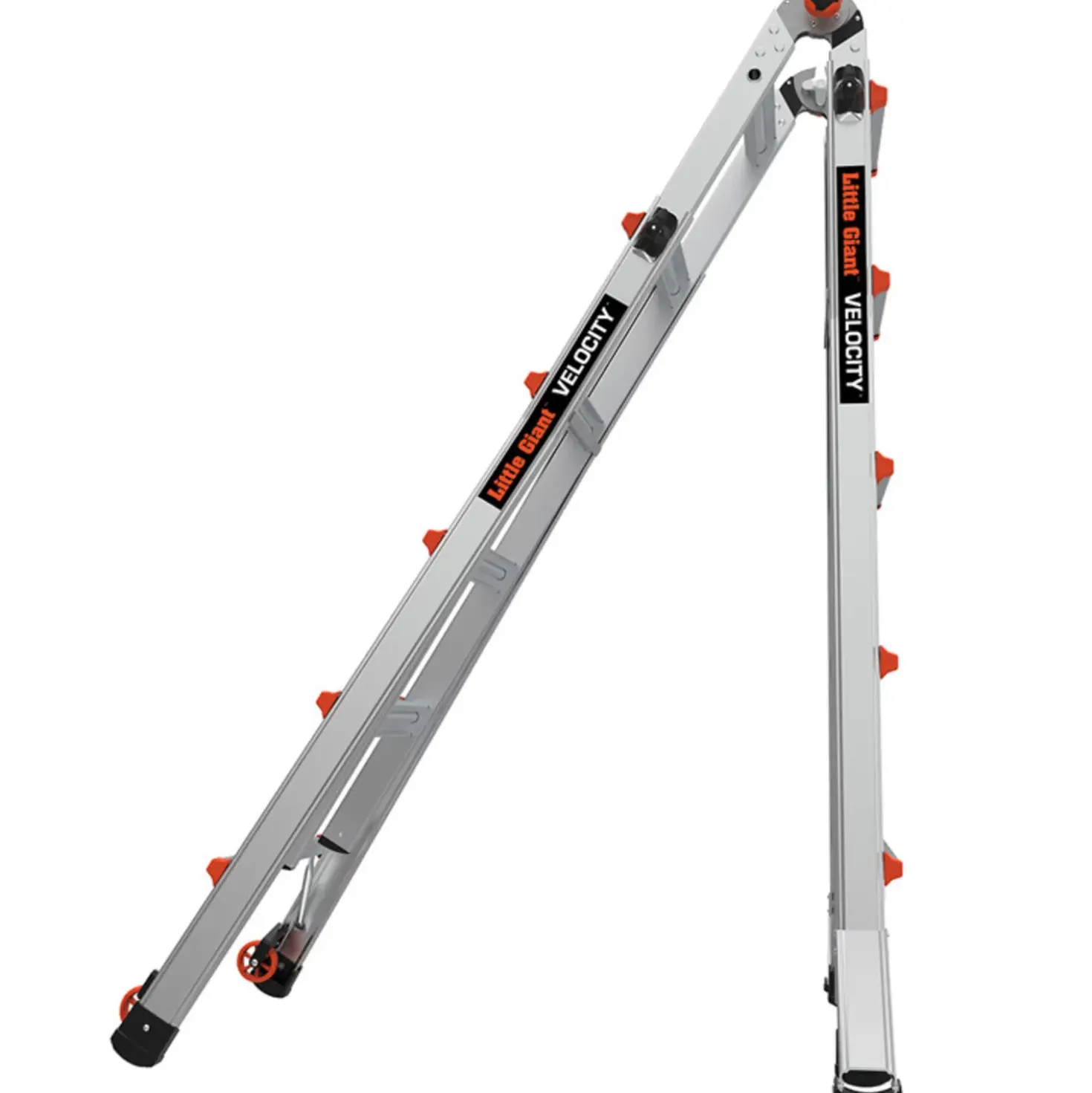 JUMBO Giant Classic multistige 69 cm 5/9-trin