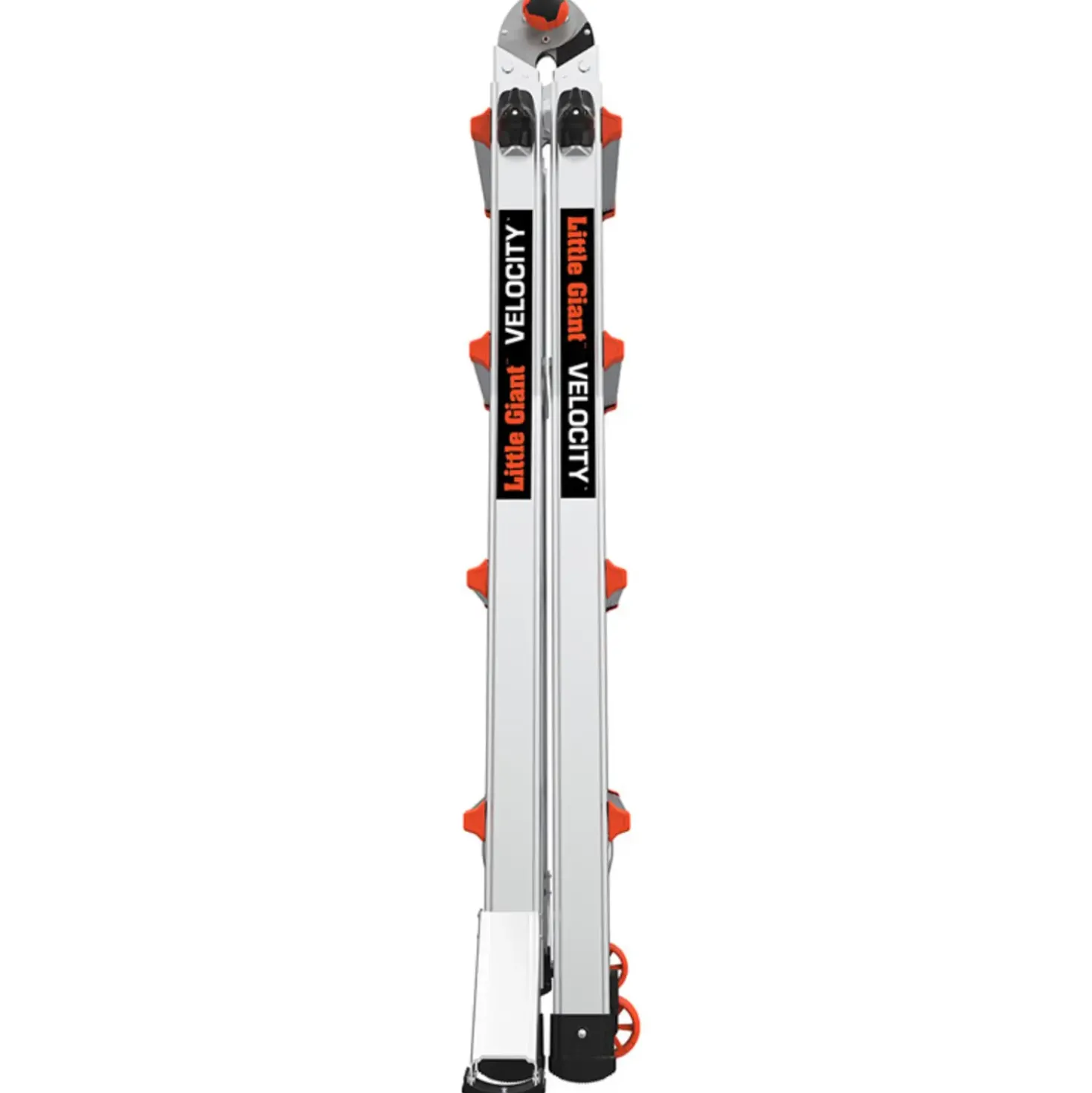 Jumbo giant multistige Classic 4/7-trin