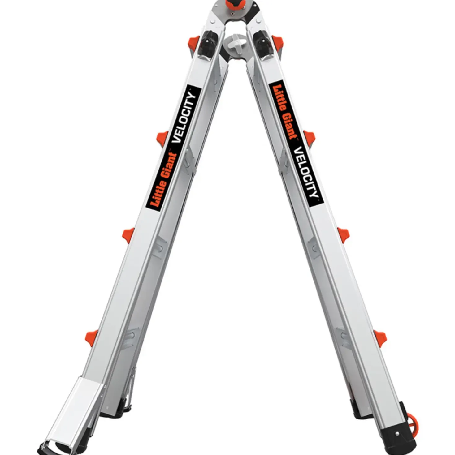 Jumbo giant multistige Classic 4/7-trin