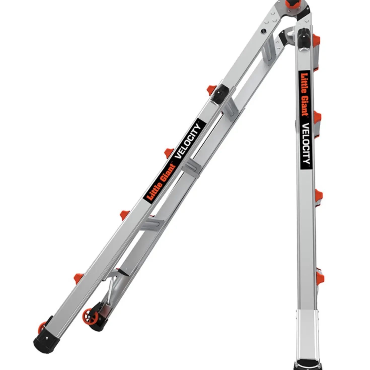 Jumbo giant multistige Classic 4/7-trin